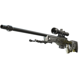 StatTrak™ AWP | Бог червей